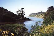 Mouth of Navarro River, May 1995