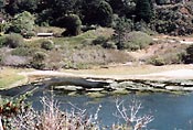 Mouth of Navarro River, Sept., 2002